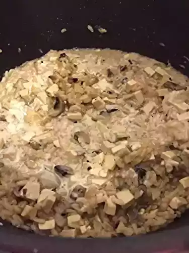 Risotto bio végétarien