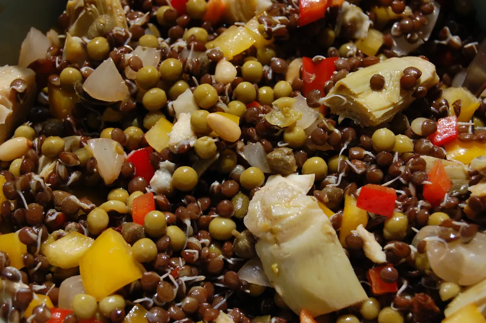 Salade de lentilles beluga germées