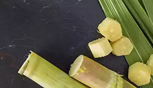 Sirop de canne