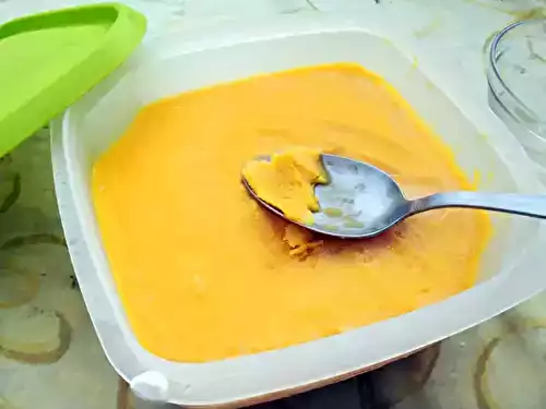 Sorbet au blender/robot hyper facile