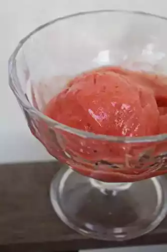 Sorbet fraise & rhubarbe