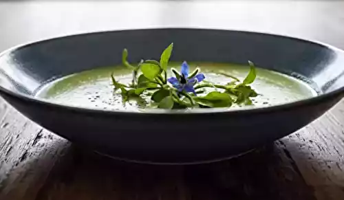 Soupe aux salicornes