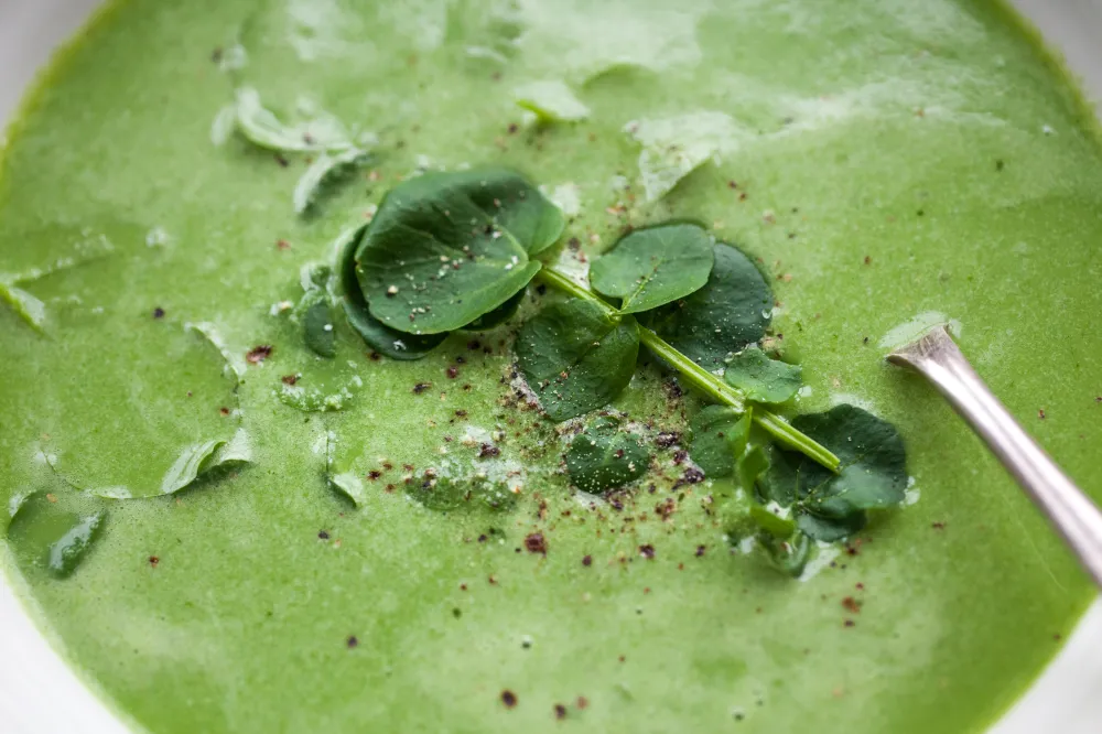 Soupe de cresson au lait de soja