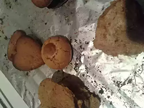 Spéculoos (cannelle et quatre épices)