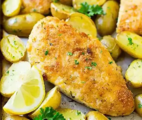 Top 28 Recettes de Dîners Rapides et Familiaux - Plats Faciles pour Tous les Goûts