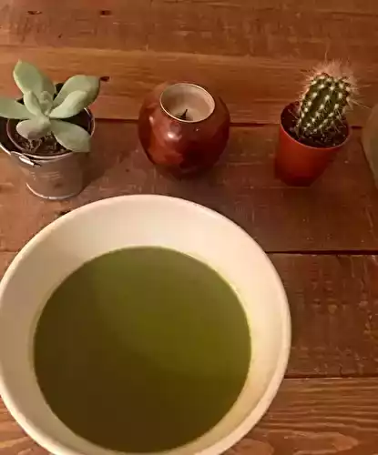 Velouté de fanes de carottes