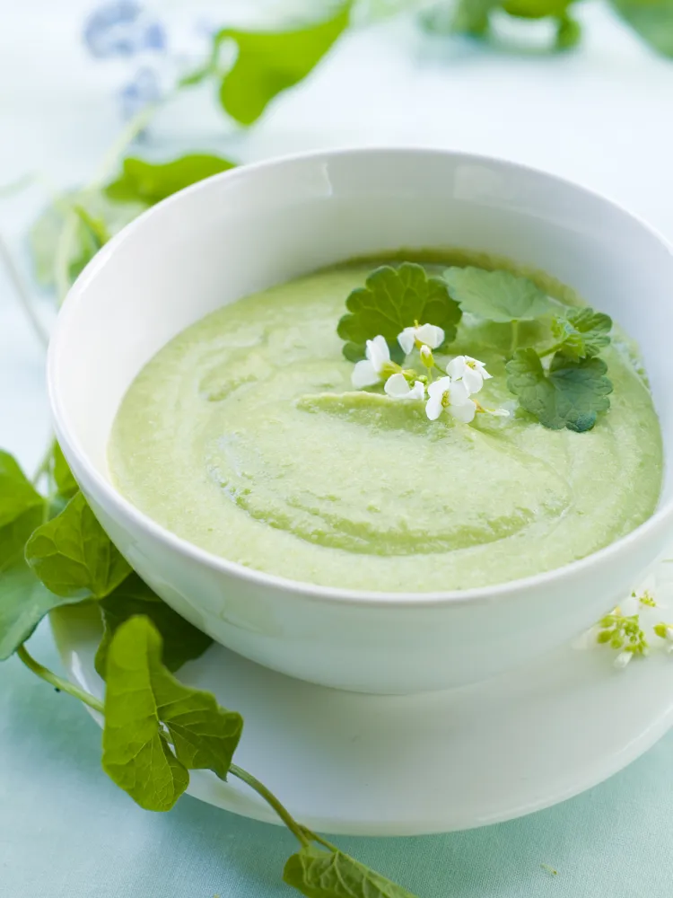 Velouté glacé de menthe et petits pois au Thermomix