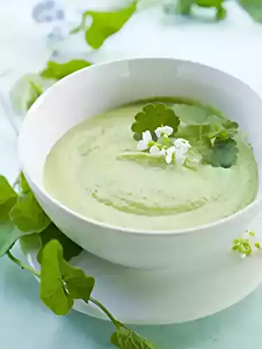 Velouté glacé de menthe et petits pois au Thermomix