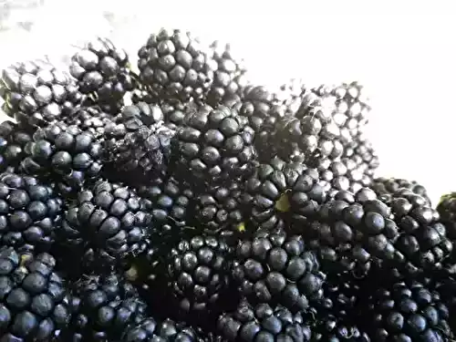 Verrine mascarpone et coulis de mûres