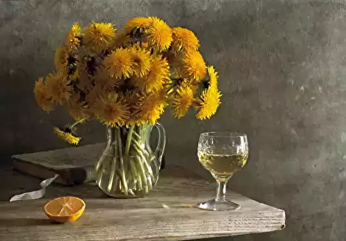 Vin de pissenlit maison