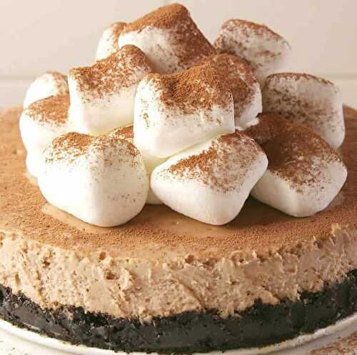 Cheesecake Oreo au cacao au thermomix - dessert facile à réaliser.