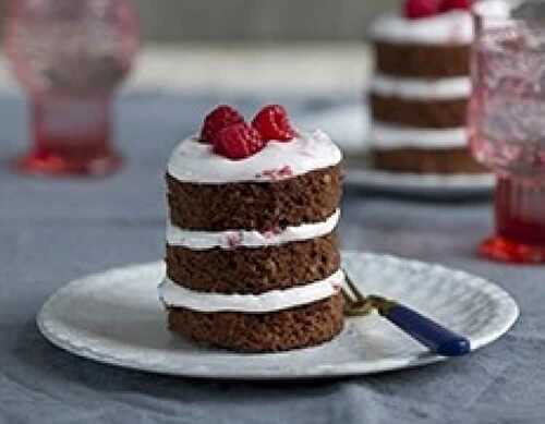 Gâteau chocolat framboises meringué au thermomix