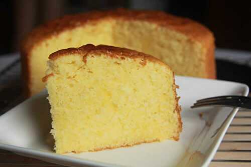 Gâteau léger au thermomix - recette thermomix facile.