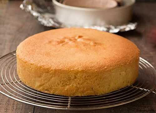 Gâteau moelleux au thermomix - le cake le plus facile