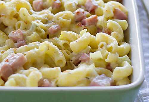 Pennes poireau et fromage au cookeo - votre plat de pâtes au cookeo.