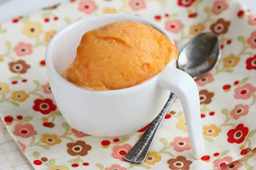 Sorbet abricot avec thermomix - recette dessert thermomix.