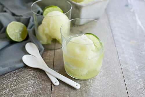 Sorbet gin tonic au citron avec thermomix - recette thermomix.