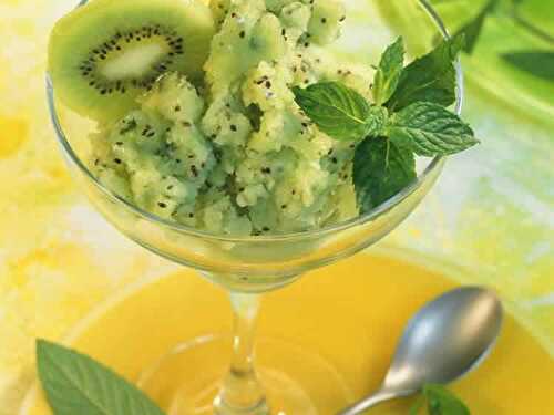 Sorbet kiwi citron menthe avec thermomix - dessert thermomix.