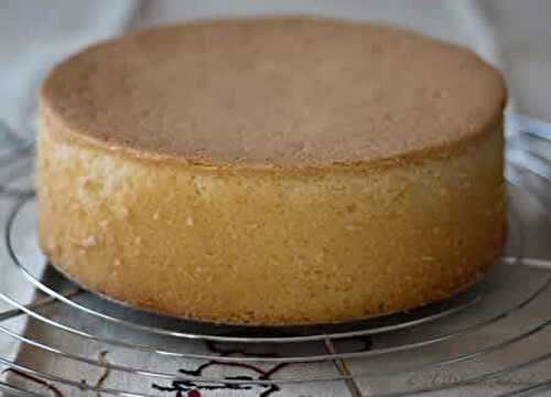 Sponge cake - recette facile et rapide faite à la maison.