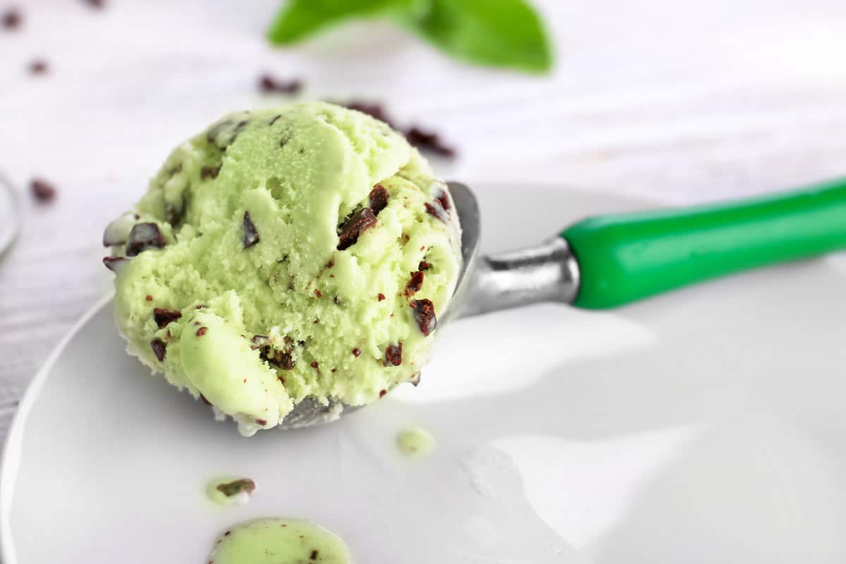 Glace à la menthe et aux pépites de chocolat : légère et délicieuse