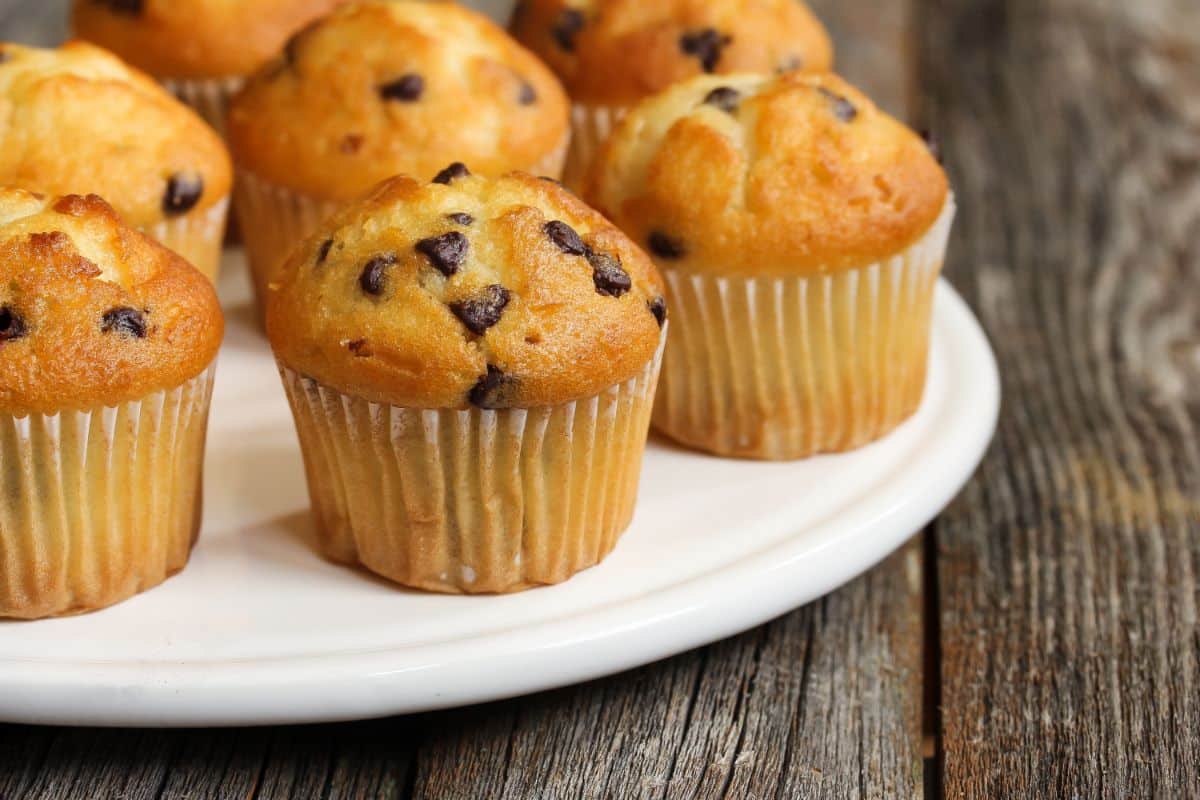 Muffins aux pépites de chocolat sans beurre