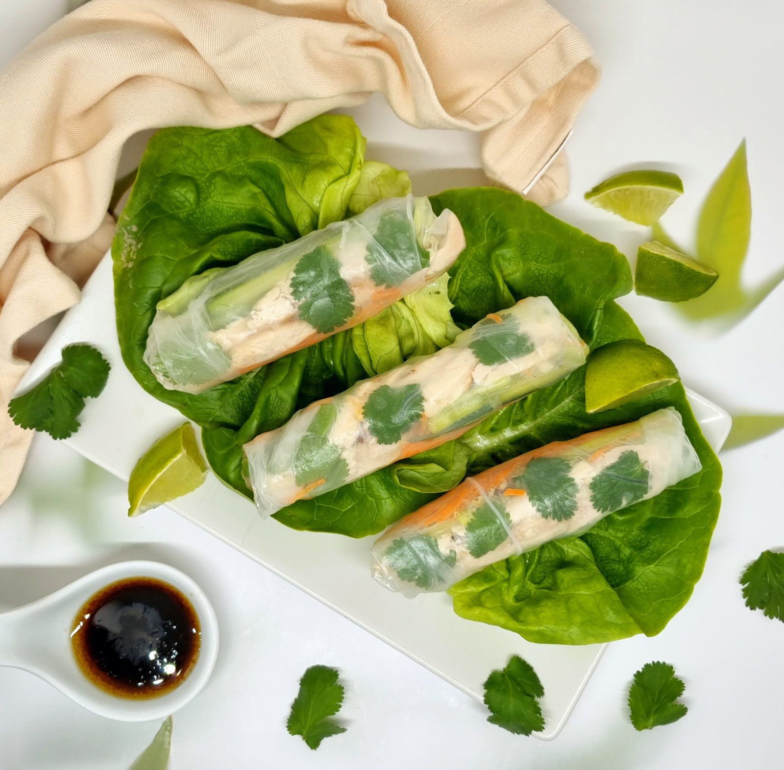 Rouleaux de printemps au poulet