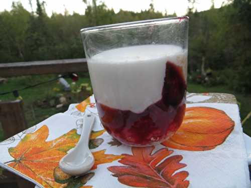 Panna cota de lait de coco aux prunes a la feve tonka