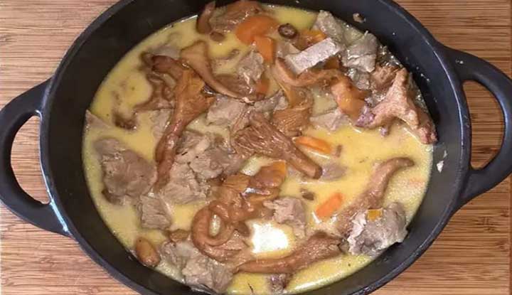 Blanquette de veau aux girolle