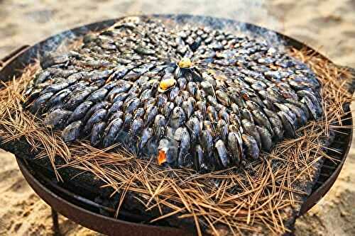 Éclade de moules à la charentaise (moules de bouchot cuites aux aiguilles de pin)