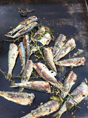 Recette des sardines aux herbes à la plancha