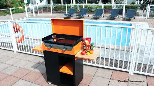 Vous saurez tout sur la plancha!