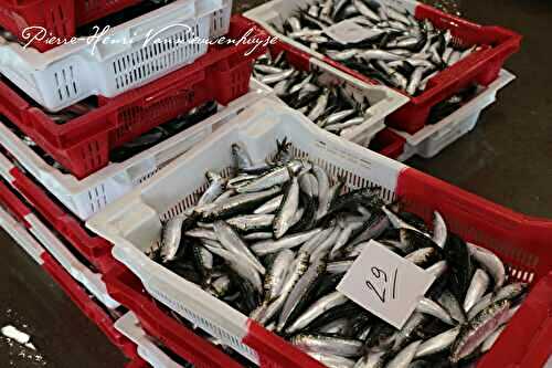 Les sardines à la plancha de Saint Gilles Croix de Vie