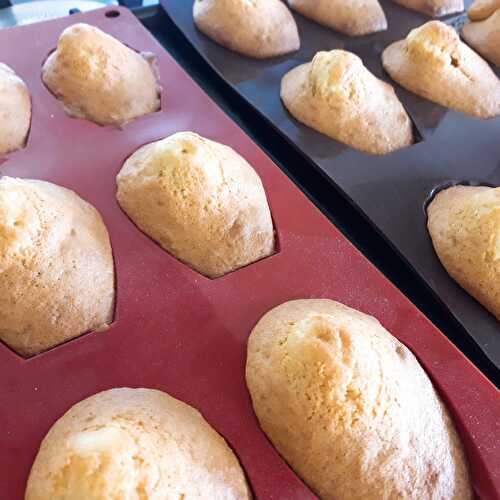 Madeleines à la fleur d'oranger