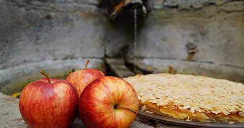 Gâteau crousti- fondant aux pommes sans farine