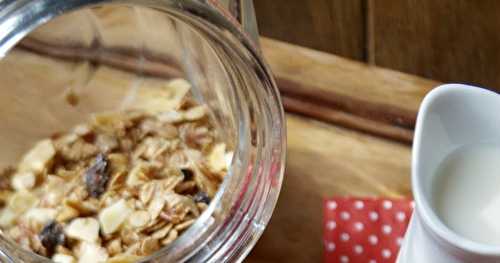 Granola aux fruits rouges et au chocolat blanc