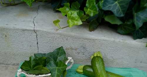 Gratin de boeuf haché, courgettes et riz