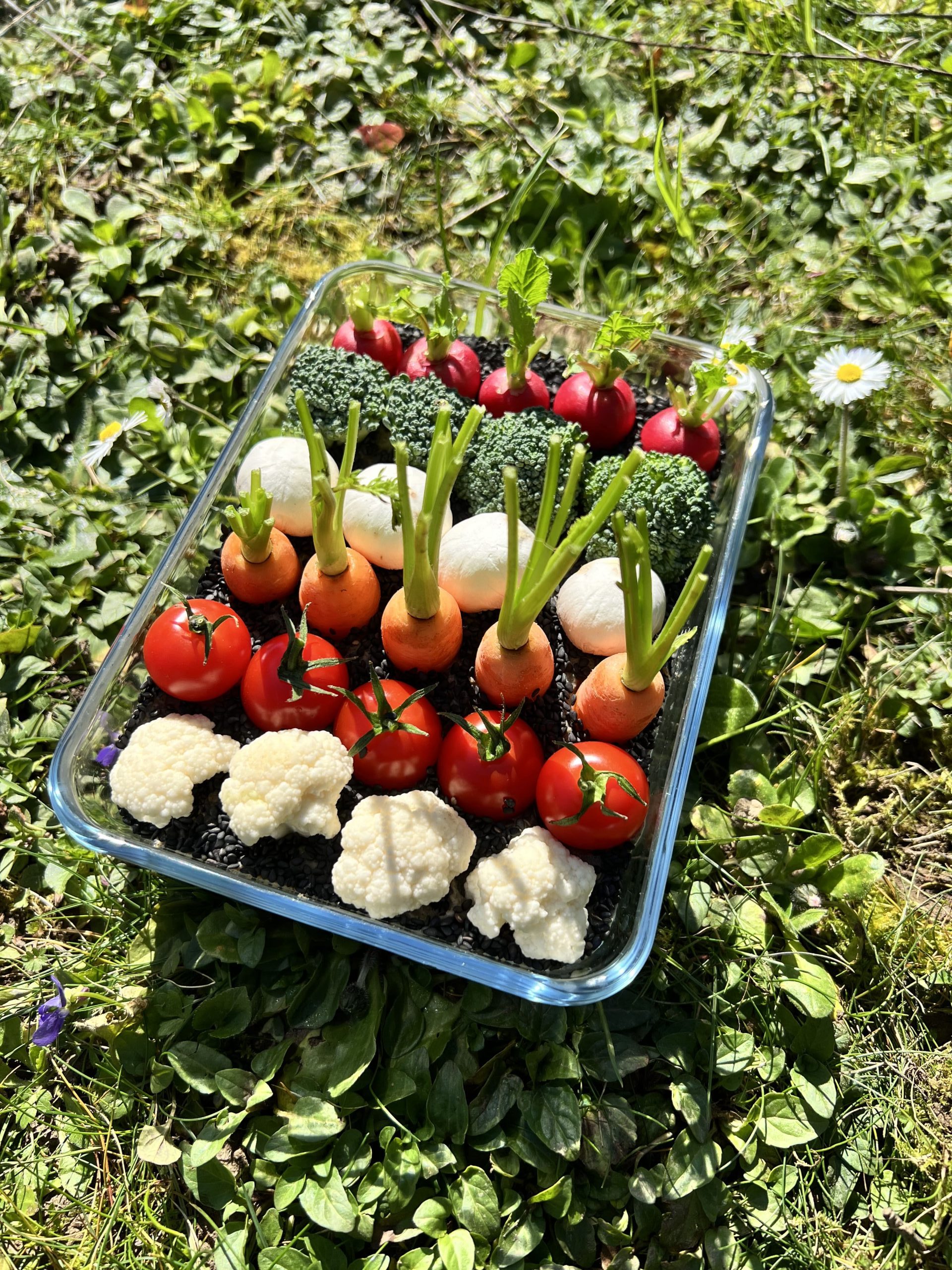 Mon petit potager apéritif