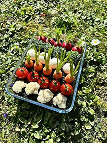 Mon petit potager apéritif