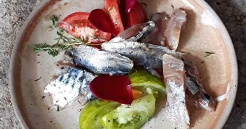 Sardines et maquereaux marinés au sel et à l'huile d'olive