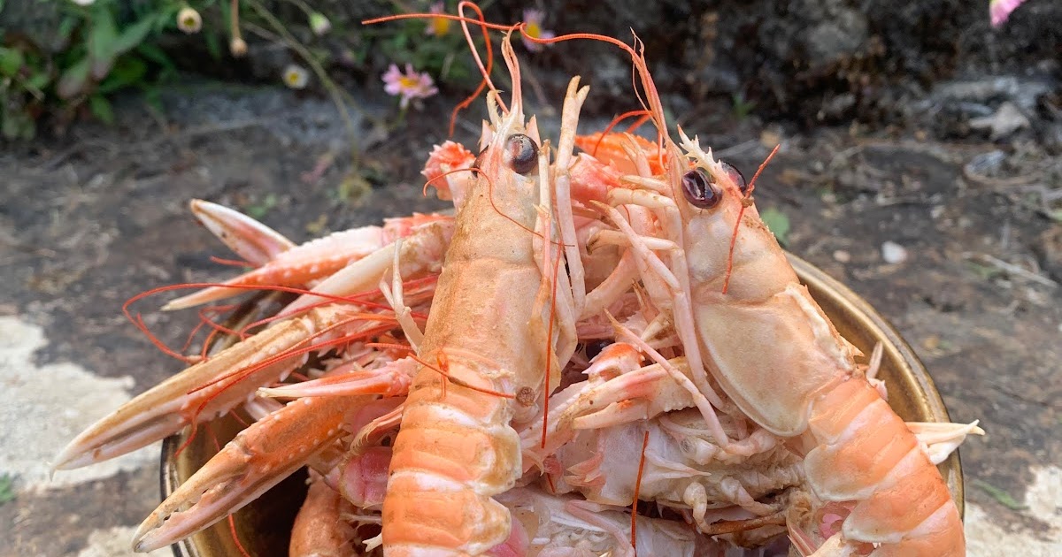 Langoustines bretonnes sautées au beurre salé