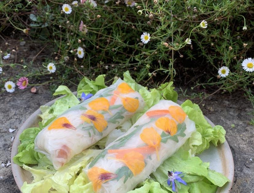 Rouleaux de printemps au crabe, crudités et roquette