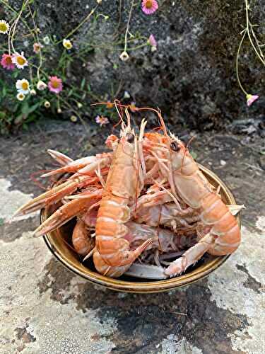 Langoustines bretonnes sautées au beurre salé - Piano et Mandoline