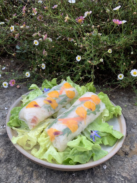 Rouleaux de printemps au crabe, crudités et roquette - Piano et Mandoline