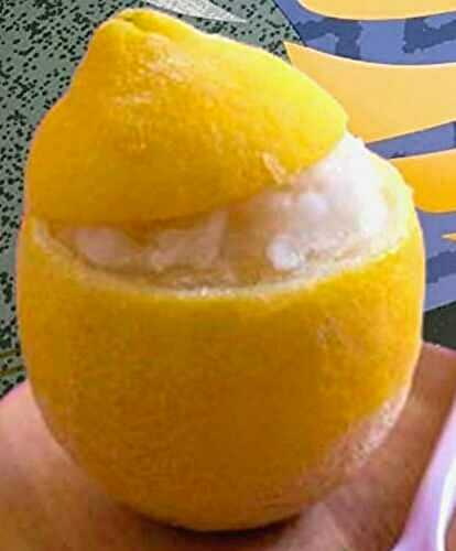 Recette de glace aux citrons à la sorbetière