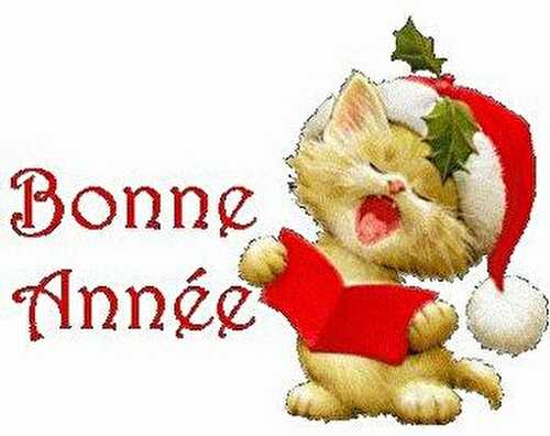 Bonne année à tous!!!!