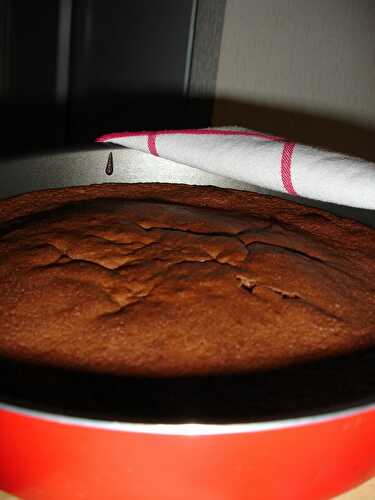 Gâteau chocolat-cannelle