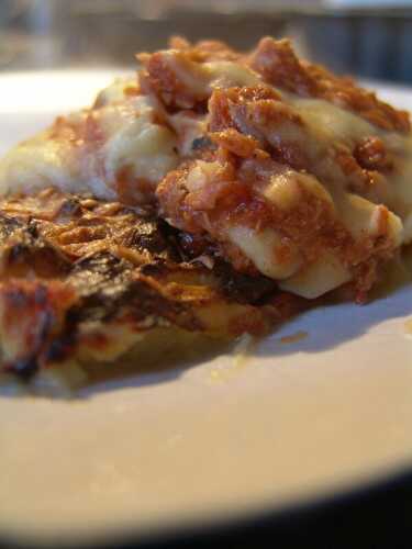Lasagne de thon, tomate et mozzarella - Recettes rapides pour maman débordée