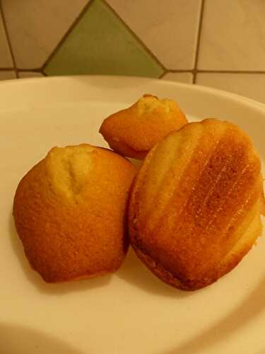 Madeleines