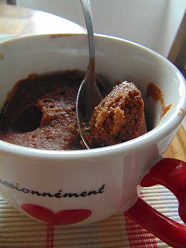 Mug Cake au chocolat