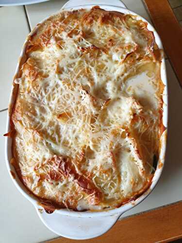 Lasagnes au saumon et aux légumes